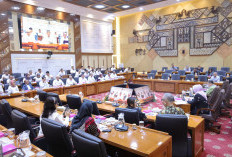   Kemnaker dan Komisi IX DPR RI, Sepakat Perkuat Kualitas MagangHub 2026