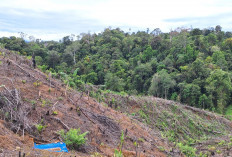 Konflik Tanah dengan Aset Negara, UU Reforma Agraria Buka Peluang Pemulihan Hak Warga
