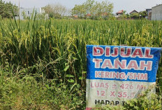 Meski Menang di Pengadilan, Mengapa Tanah Sengketa Belum Tentu Kembali ke Pemiliknya? Ini Penyebabnya