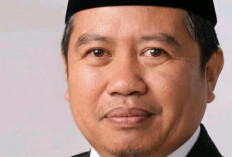 Tahun Ini, Muhammadiyah Seluma Kurban  8 Ekor Sapi, Masih Bisa Bertambah