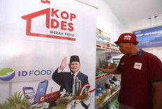 Rekrutmen 30 Ribu Manajer Koperasi Merah Putih Dibuka, Ini Syarat, Jadwal, dan Besaran Gajinya