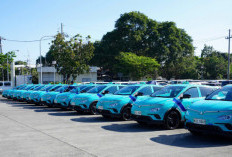  Green Xentro scales up taxi deployment to 2,500 fully electric vehicles (BEV) with Green GSM platform 