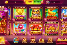 Higgs Global Island Pengganti Higgs Domino Island, Bisa Berbagi Koin ke Antar Pengguna