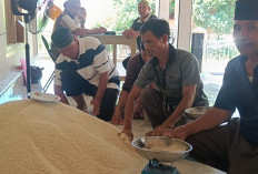   Volume Zakat Fitrah 2026 di Seluma Alami Peningkatan Signifikan