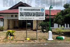   Penggunaan Anggaran Disdikbud Seluma 2024 Dilaporkan ke Kejati