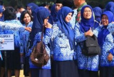  THR PPPK Paruh Waktu, Belum Masuk APBD 2026 Seluma