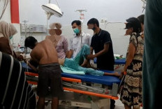   IRT di Ilir Talo Meninggal! Diduga Depresi, Tenggak Racun Rumput
