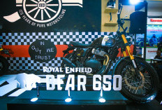 Tampil Gaya dengan Royal Enfield Bear 650, Motor 240 Jutaan, Ada di IIMS 2026