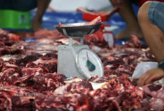 Tradisi Arisan Daging Sapi Jelang Idul Fitri 1447 Hijriah, Solusi Hemat dan Kebersamaan Warga