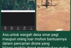 Diduga Diserang Elang, Drone Pemetaan BPKH Hilang di Hutan Seluma Utara