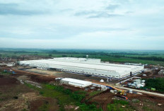  Vinfast Signs Agreement to Develop Transportation Infrastructure in Indonesia