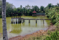   Proyek Ratusan Juta Kolam Pemancingan di Lokasi Baru Seluma Terbengkalai