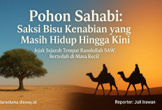 Pohon Sahabi: Saksi Bisu Kenabian yang Masih Hidup Hingga Kini Jejak Sejarah Tempat Rasulullah SAW Berteduh
