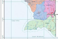 Penataan Ruang Kawasan Swasembada di Papua Selatan Dipercepat