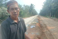 Dipertanyakan Manfaatnya, Rehabilitasi Irigasi di Seluma Dilakukan Diarea Perkebunan Sawit