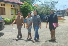  Polres Seluma Ciduk  Humas PT SIL, Edarkan Ganja