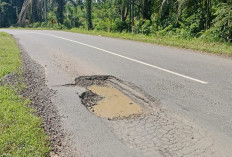 Jelang Nataru, Jalan Lintas Provinsi di Seluma Kembali Rusak dan Berlubang
