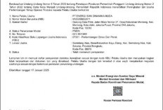 Cepat, Usai Disurati Bupati Seluma, Gubernur Rohidin Surati Menteri LH dan Kehutanan