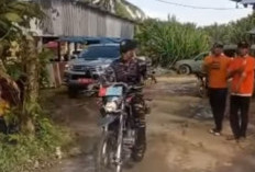 Pemkab Bengkulu Selatan  Bongkar Paksa Warung Remang-Remang Ilegal