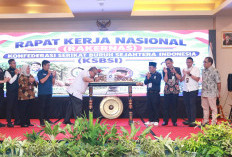   Wamenaker: Pengesahan RUU Pelindungan Ketenagakerjaan Ditargetkan Oktober 2026