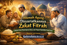 Hikmah Agung Disyariatkannya Zakat Fitrah: Penyuci Jiwa, Penyempurna Puasa, dan Penguat Kepedulian Sosial Umat