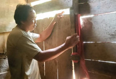 ABG Ini Kepergok Saat Bobol Rumah Warga di Seluma