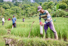 Pasang Patok Batas Tanah, Cegah Sengketa dan Konflik dengan Tetangga