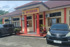 Modus Dipinjamkan HP, Siswi Kelas 4 SD Dicabuli Tetangganya