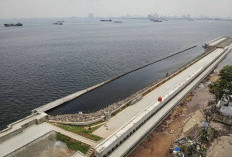 Proyek Tanggul Laut Raksasa Segera Dikebut, ATR/BPN Pastikan Lahan Giant Sea Wall Pantura Aman