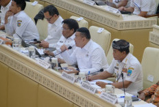 Perpres untuk Delapan Rencana Tata Ruang Kawasan Perbatasan Negara Disahkan