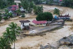 Data Terbaru, Korban Tewas Bencana Sumatera  1.006 Orang, 217  Hilang