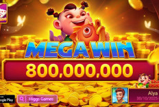 Cara Download Higgs Games Island yang Ada Spider, Lengkap dan Aman untuk Pemula