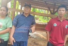  Pengadaan Sapi  BUMDes Nanti Agung Seluma Diprotes BPD
