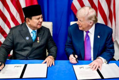  Produk AS yang Masuk RI, Tak Perlu Label Halal! Perjanjian Dagang Trump-Prabowo