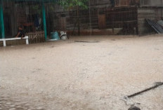 Hujan Deras Picu Banjir di Permukiman dan Sawah Warga Desa Lubuk Resam Seluma