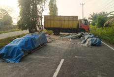 Truk Angkut 10 Ton Semen Terguling di Tanjakan Jalan Dua Jalur Tais Seluma