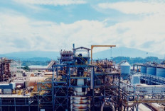 IUP Tambang Emas Martabe Dicabut Satgas PKH, Agincourt Resources Klaim Belum Terima Pemberitahuan Resmi