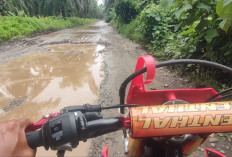 Jalan Peninggalan Inggris di Pesisir Rawa Indah–Pasar Seluma Rusak Parah, Warga Desak Perbaikan