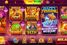 Cara Berbagi Koin Higgs Global Island Terbaru 2025, Lengkap dengan Syarat dan Solusinya