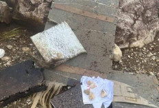 Analisa KNKT, Pesawat ATR 42-500 Tabrak Gunung Gegara ELT Rusak