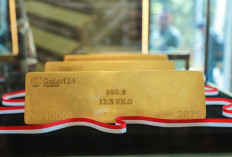 Harga Emas Antam Terjun Bebas, Turun Sampai Rp 260.000
