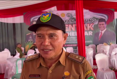 Sampling Pestisida Bantuan APBN 2025 Dilakukan di Dinas Pertanian Seluma
