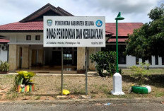   Dana BOS di Seluma Belum Cair, Sekolah Kesulitan Penuhi ATK hingga Bayar Listrik