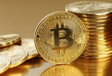 China Larang Kripto, Namun Aktivitas Mining Makin Tinggi