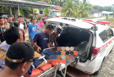  Kecelakaan Motor VS Dump Truk di Jalan Lintas Lubuk Betung Seluma, 2 Pelajar Tewas